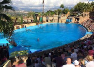 Pool waterproofing at Mundomar