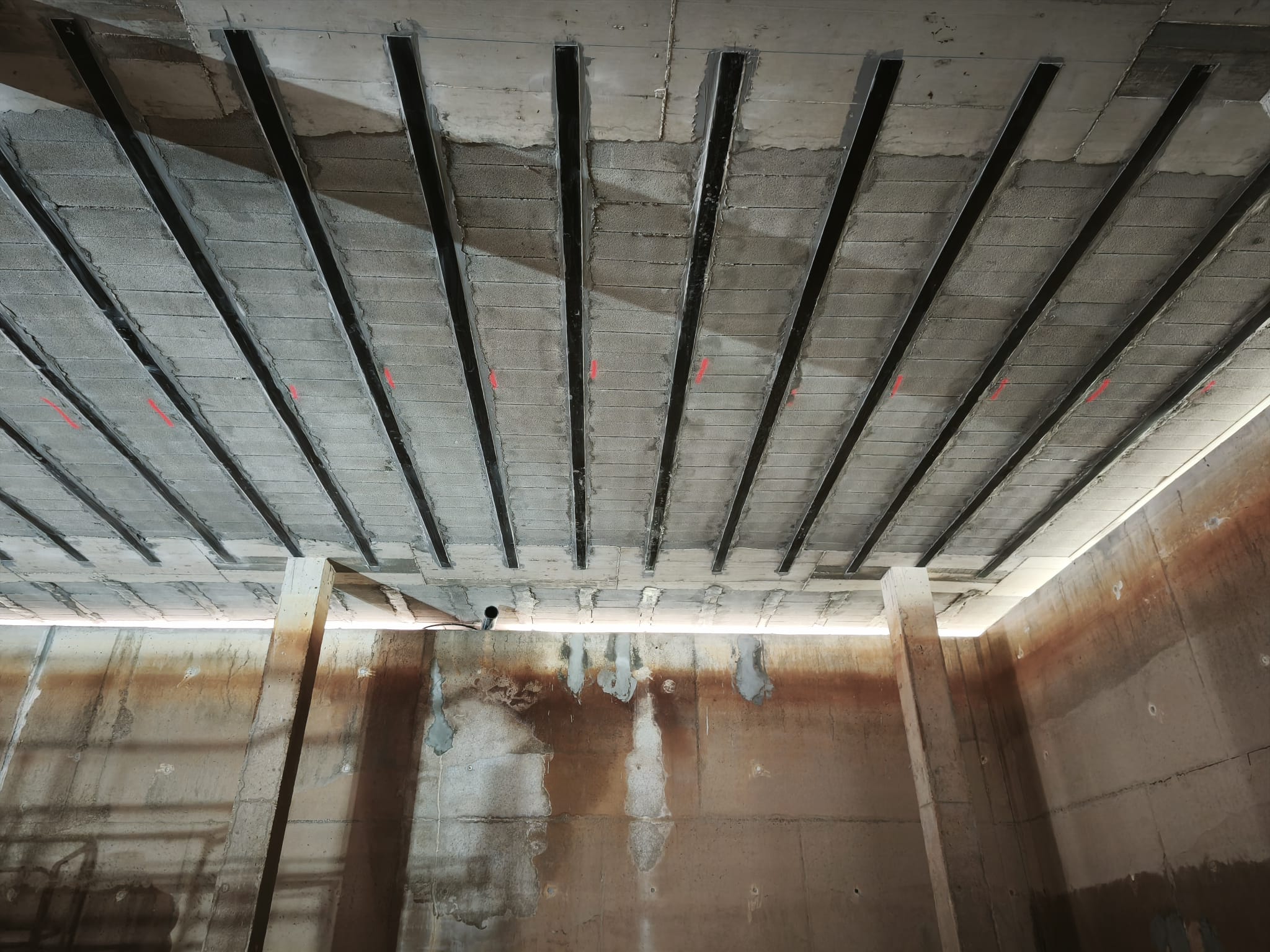 CARBONO MALLORCA IMG-20251117-WA0039